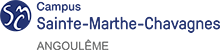 logo - Ensemble Scolaire Sainte-Marthe Chavagnes